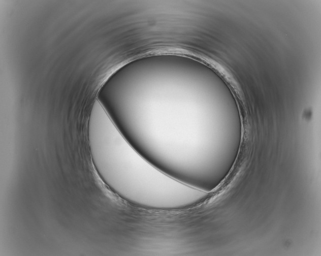 X0000090700905200707200926