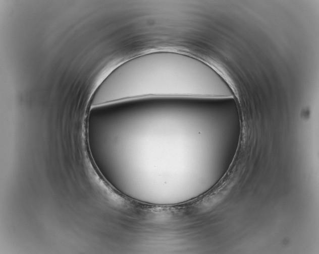 X0000090700906200707200926