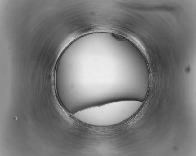 X0000090700907200707200926