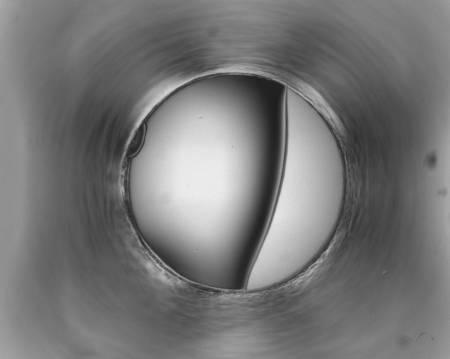 X0000090700908200707200926