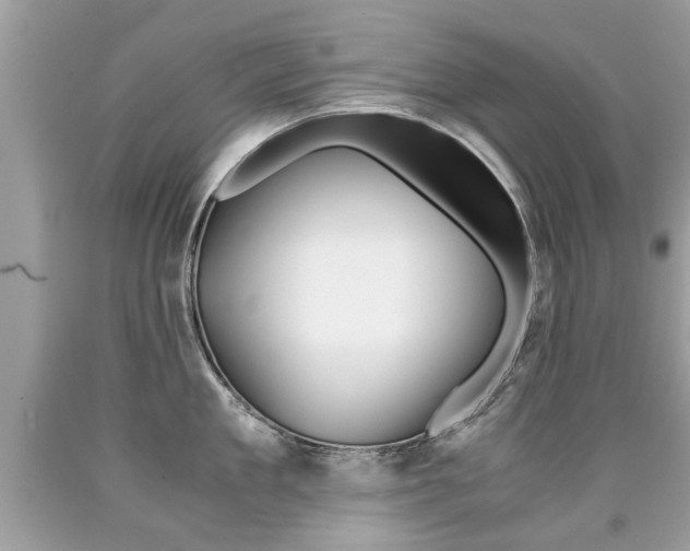 X0000090700909200707200926