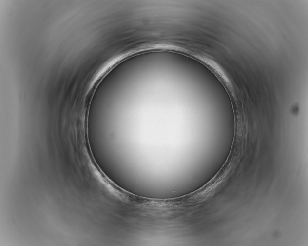 X0000090700910200707200926