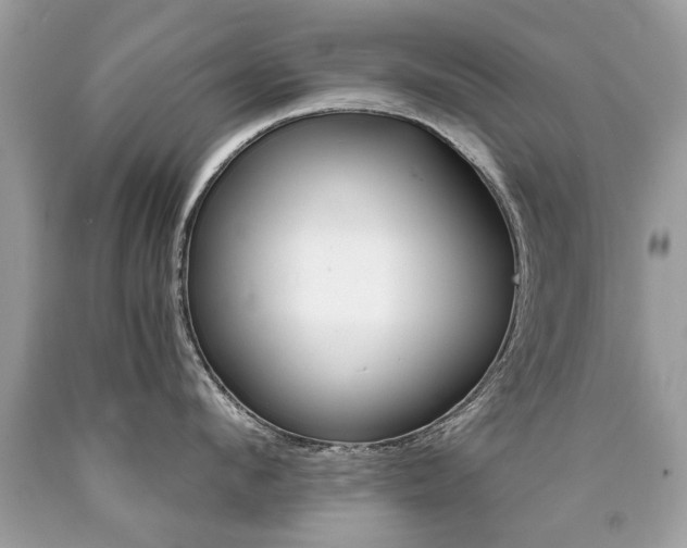 X0000090700912200707200926