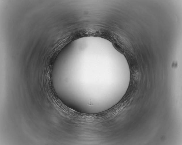X0000090700914200707200925