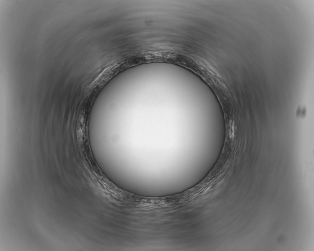 X0000090700915200707200925