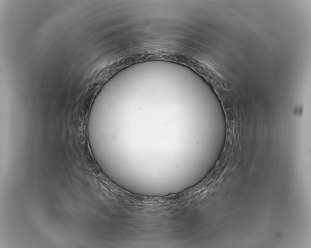 X0000090700917200707200925