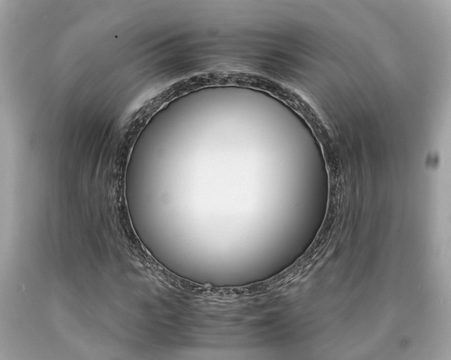 X0000090700919200707200925