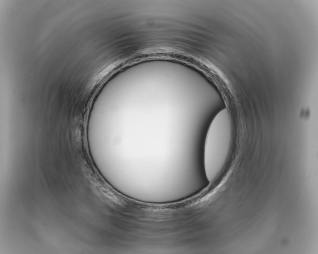 X0000090700921200707200925