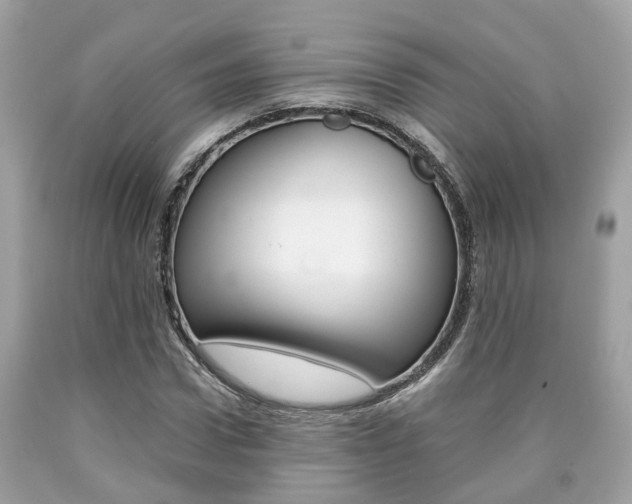 X0000090700922200707200925