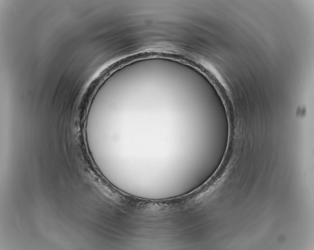 X0000090700923200707200925