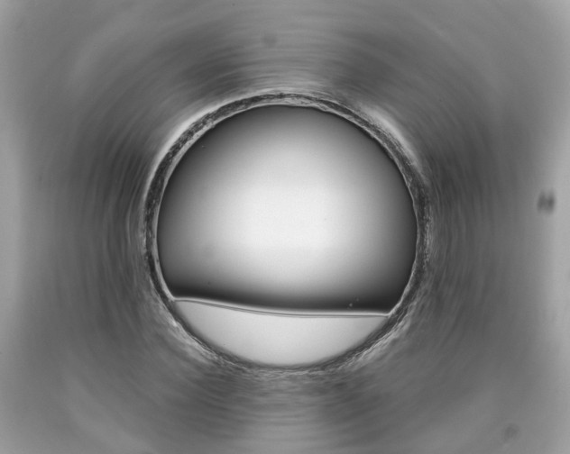 X0000090700924200707200925
