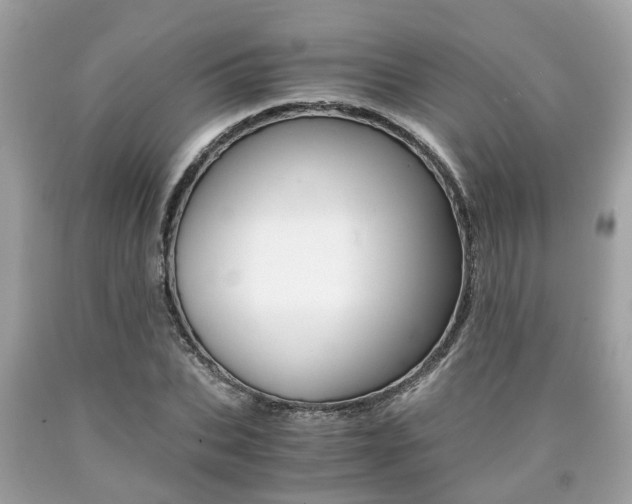 X0000090700927200707200925