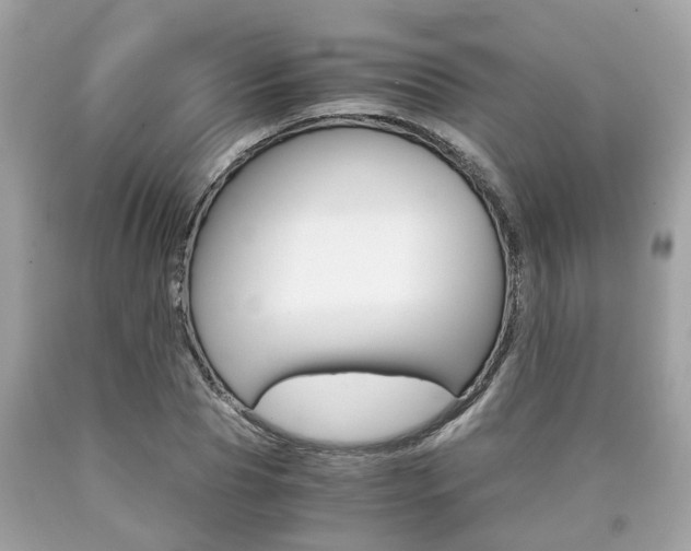 X0000090700929200707200925