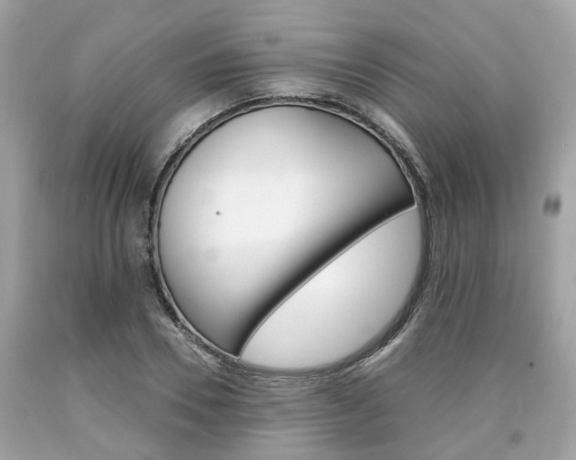 X0000090700930200707200925