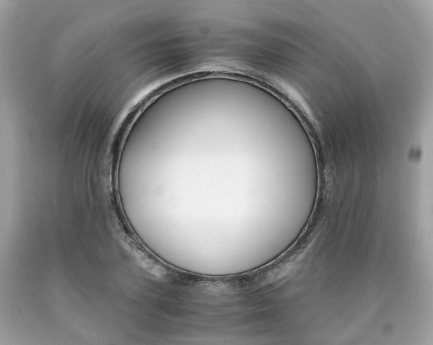 X0000090700931200707200925