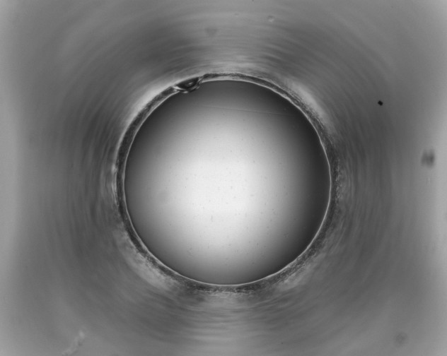 X0000090700932200707200925