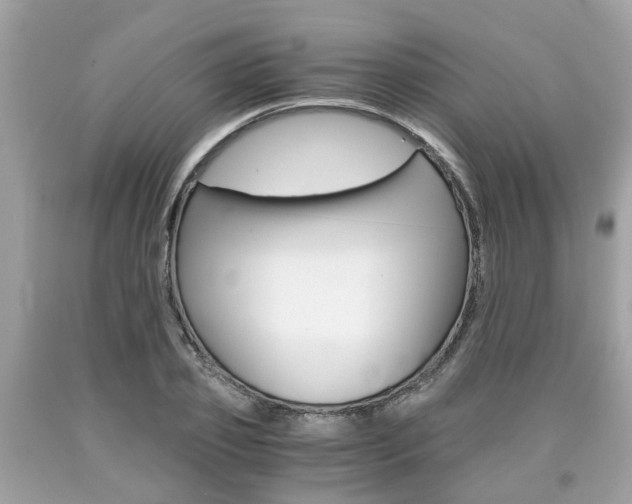 X0000090700933200707200925