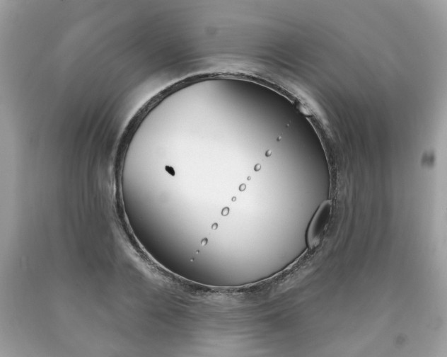X0000090700936200707200925
