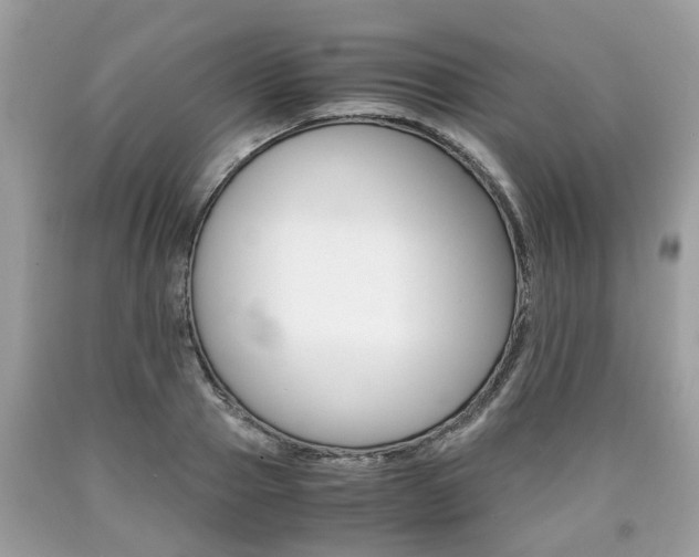 X0000090700937200707200925