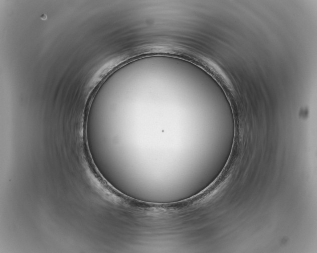 X0000090700938200707200925