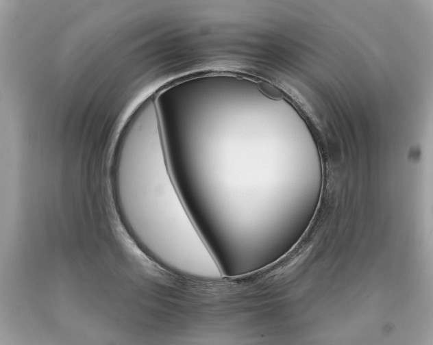 X0000090700939200707200925