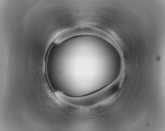 X0000090700940200707200925