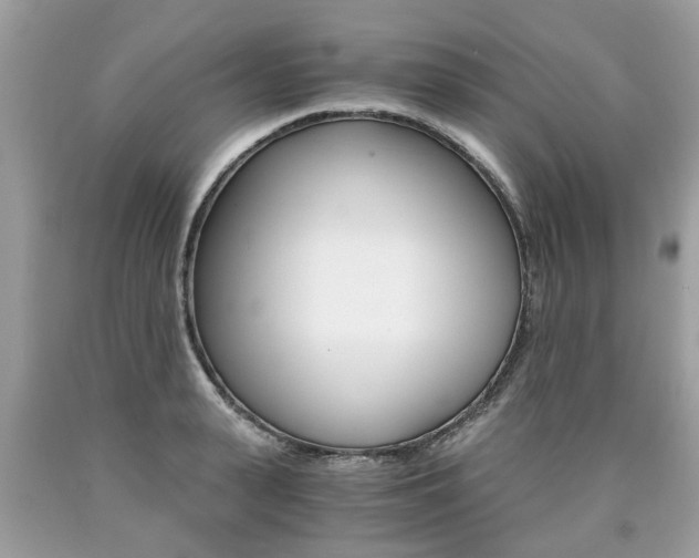 X0000090700943200707200925