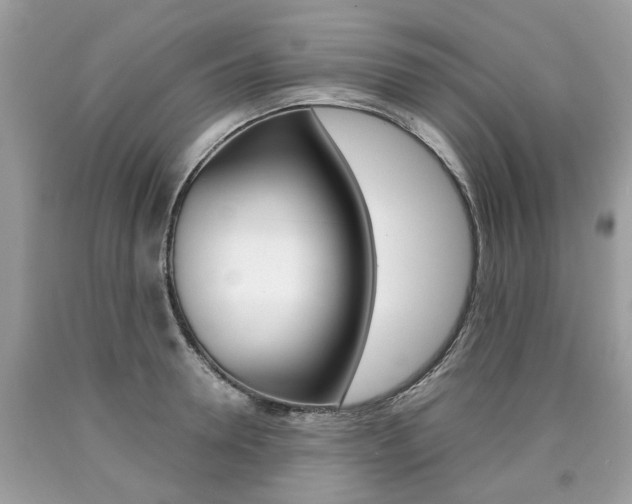 X0000090700946200707200925