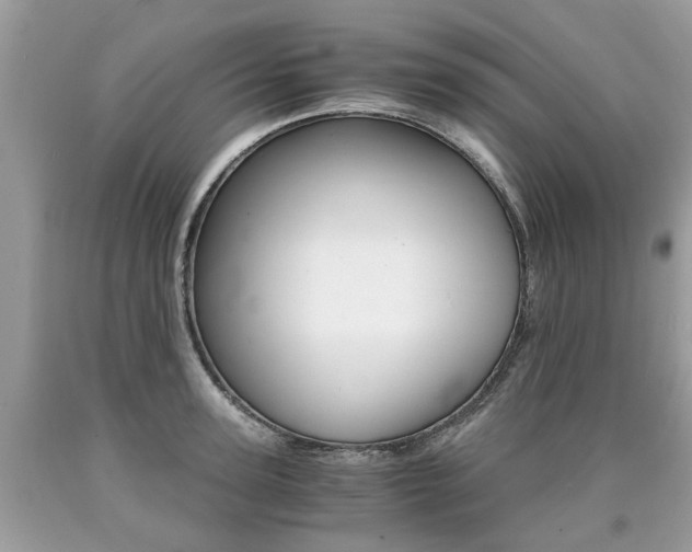 X0000090700947200707200925