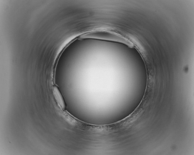 X0000090700948200707200925