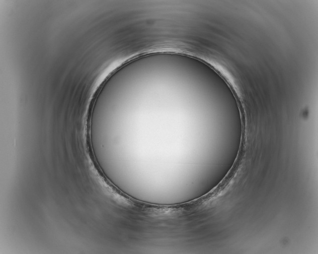 X0000090700949200707200925