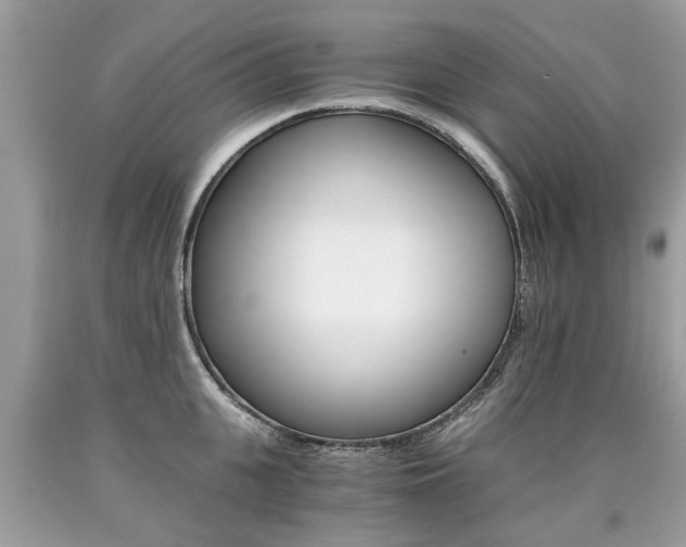 X0000090700951200707200925