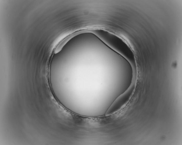 X0000090700952200707200925