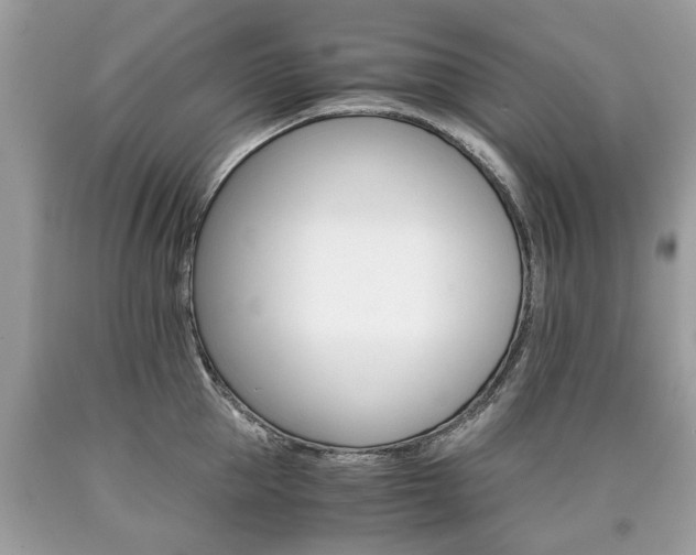 X0000090700953200707200925