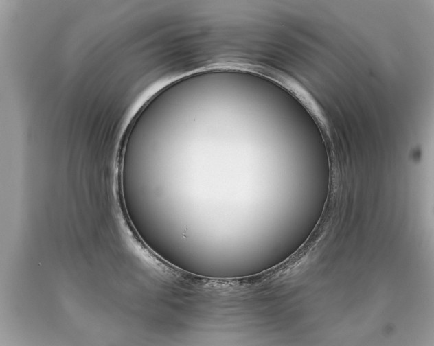 X0000090700955200707200925