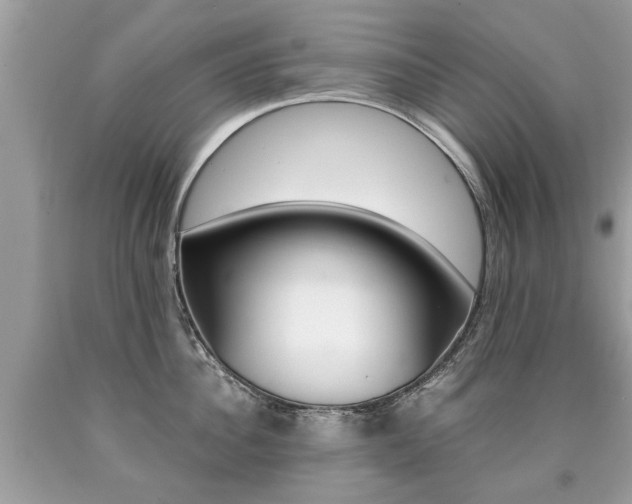 X0000090700956200707200926