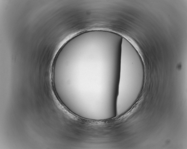 X0000090700957200707200926