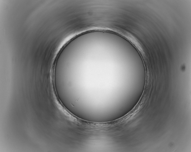 X0000090700958200707200926
