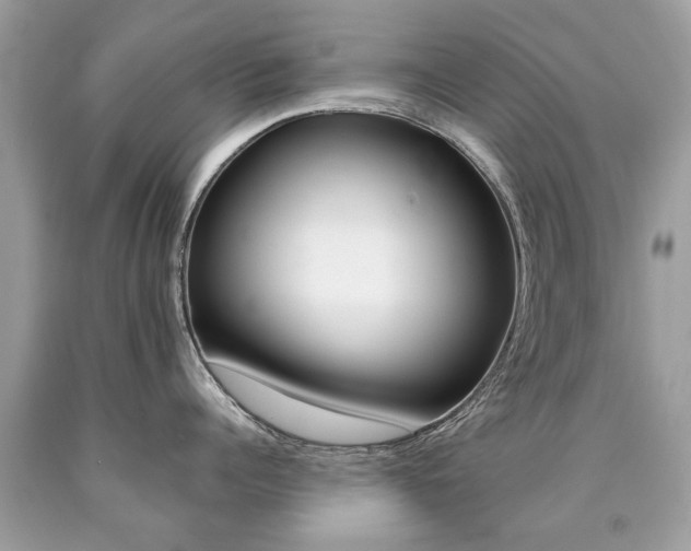 X0000090700960200707200926