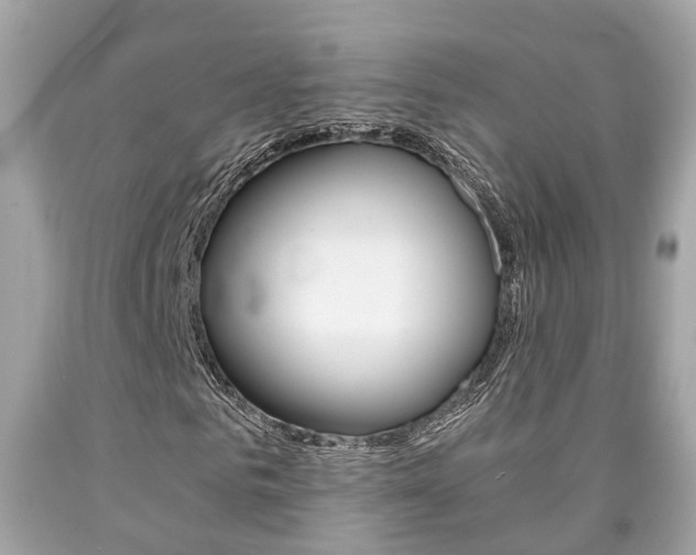 X0000090700961200707200925