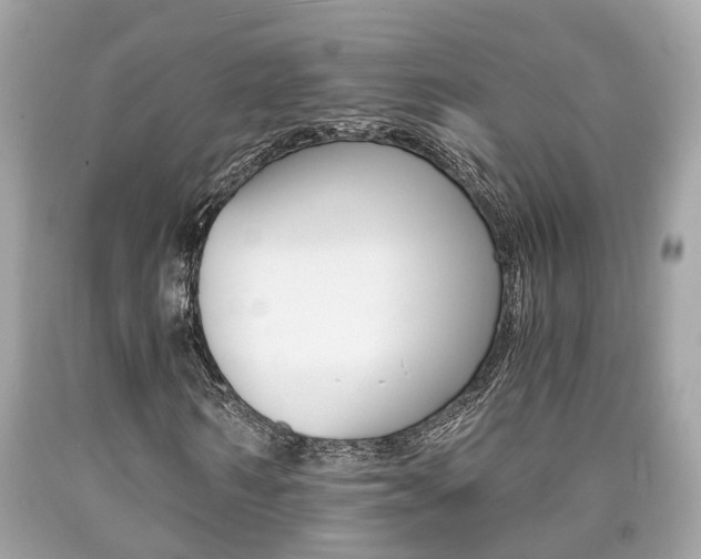 X0000090700962200707200925