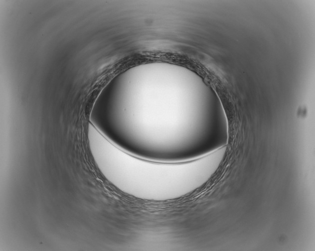 X0000090700965200707200925