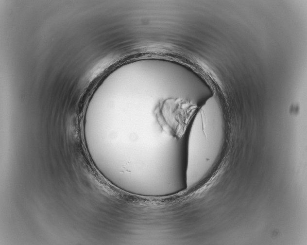X0000090700970200707200925
