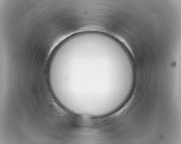 X0000090700973200707200925