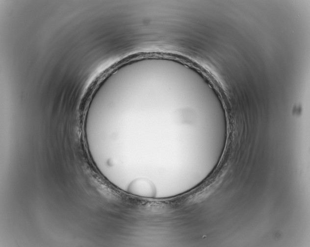 X0000090700974200707200925