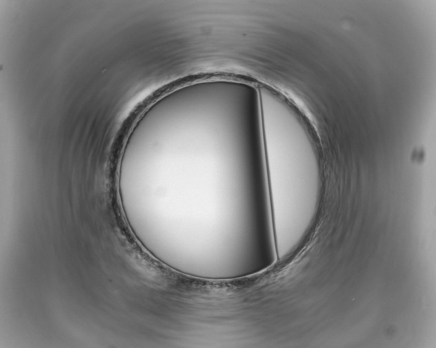 X0000090700975200707200925