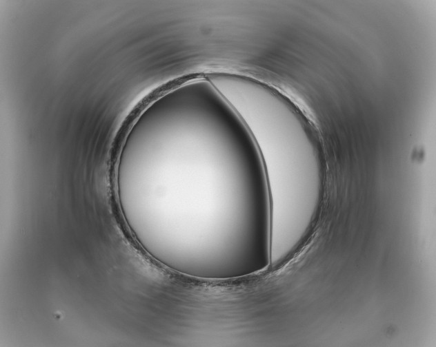 X0000090700976200707200925
