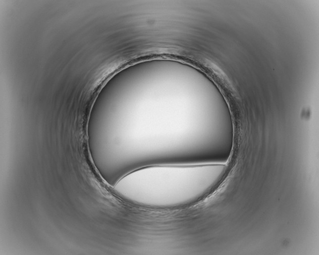 X0000090700977200707200925