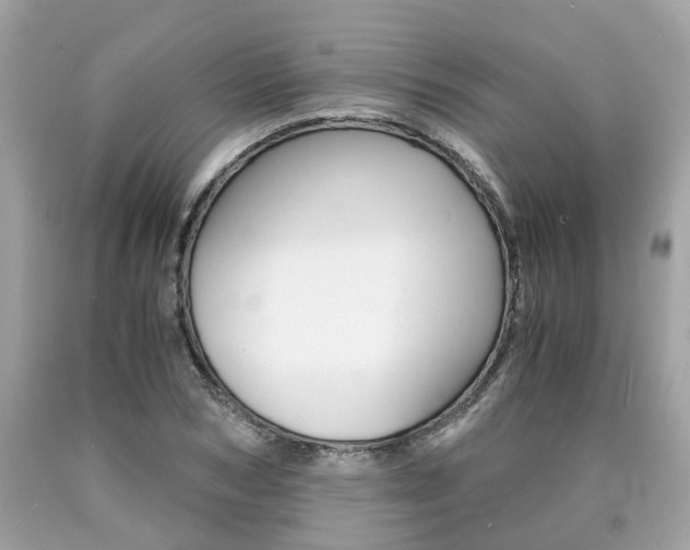 X0000090700978200707200925