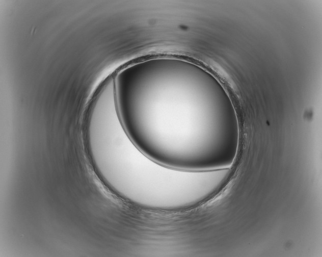 X0000090700981200707200925